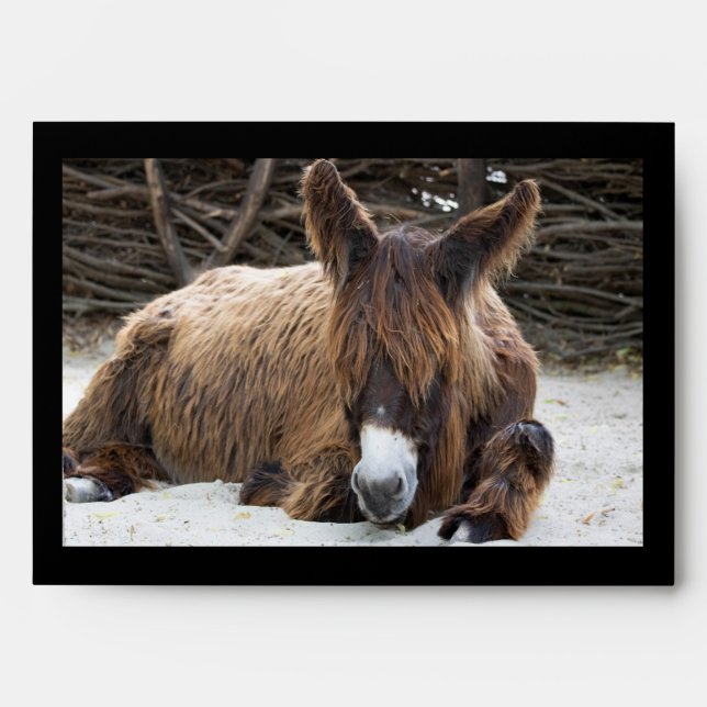 Brown Poitou Donkey Envelope (Front)