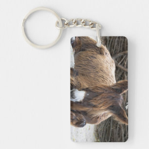 Brown Poitou Donkey Keychain