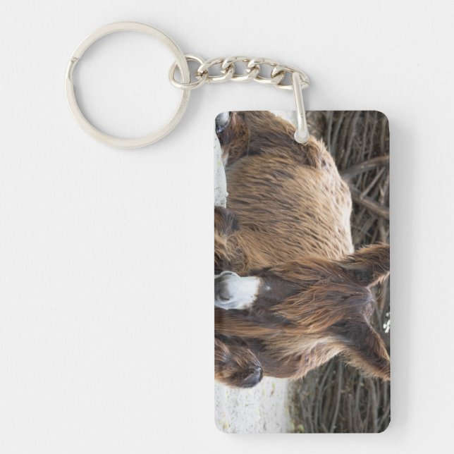 Brown Poitou Donkey Keychain (Front)