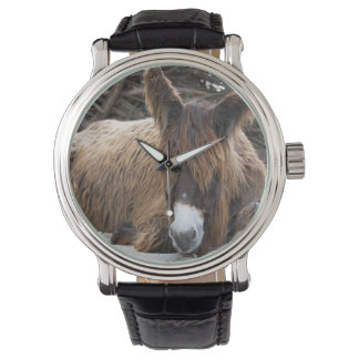 Brown Poitou Donkey Watch