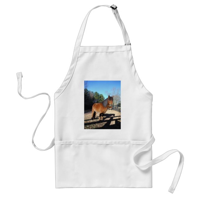 Brown pony turquoise Sky Adult Apron (Front)