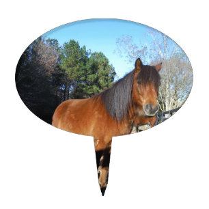 Brown pony turquoise Sky Cake Topper