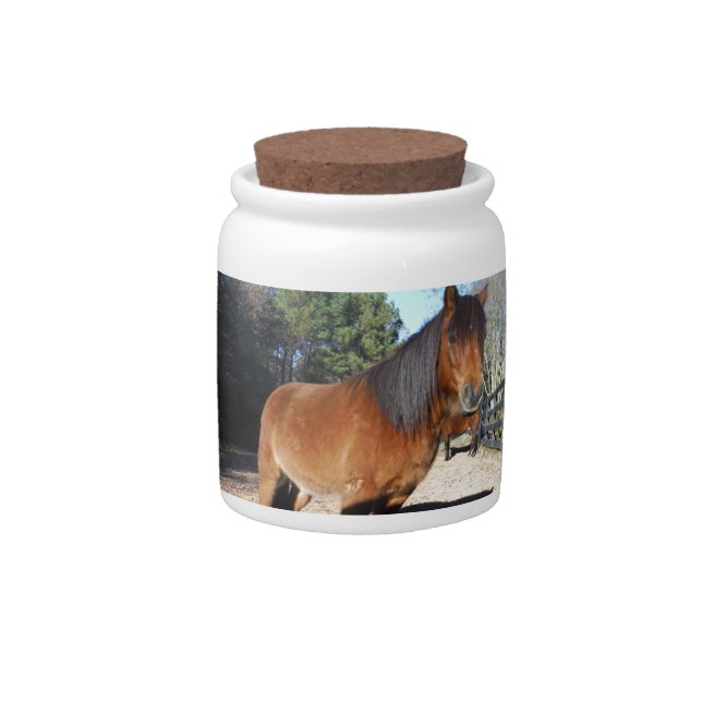 Brown pony turquoise Sky Candy Jar (Front)
