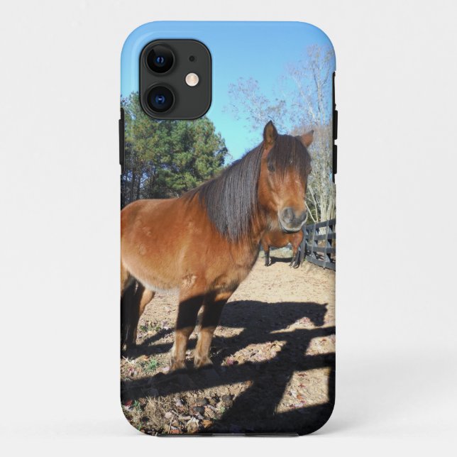 Brown pony turquoise Sky Case-Mate iPhone Case (Back)
