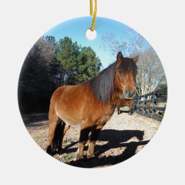Brown pony turquoise Sky Ceramic Ornament (Front)