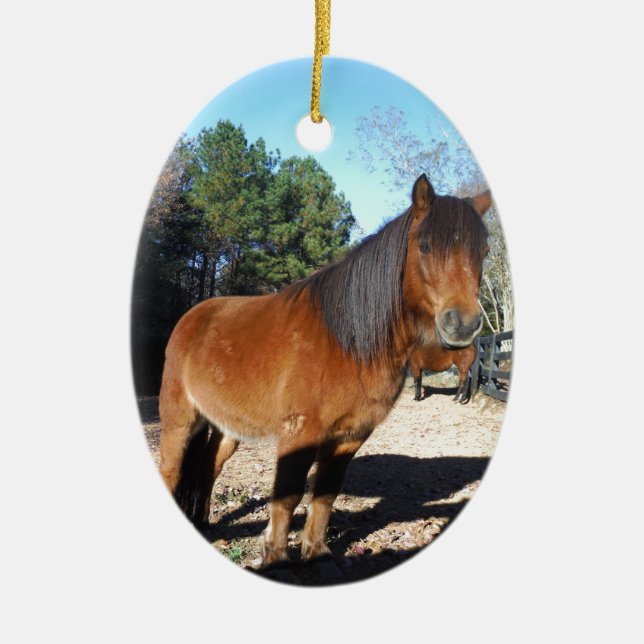 Brown pony turquoise Sky Ceramic Ornament (Front)