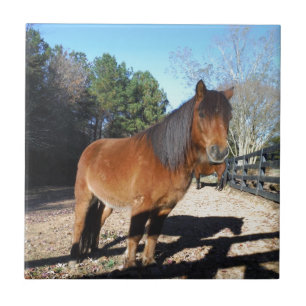 Brown pony turquoise Sky Ceramic Tile