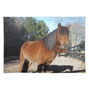 Brown pony turquoise Sky Cloth Placemat