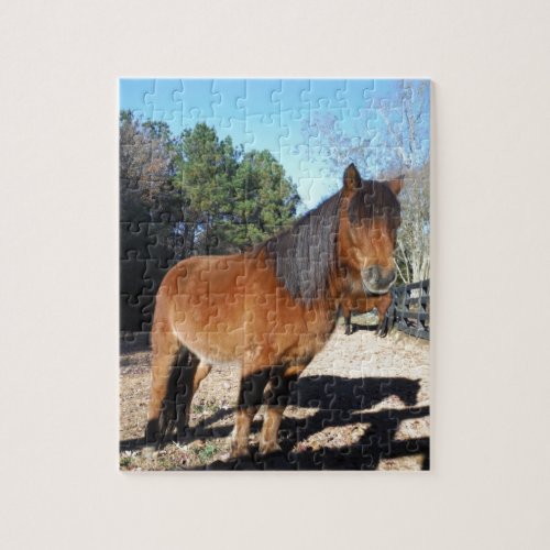Brown pony turquoise Sky Jigsaw Puzzle