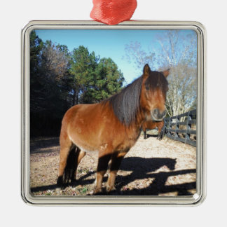 Brown pony turquoise Sky Metal Ornament