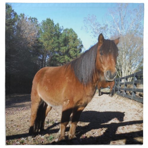 Brown pony turquoise Sky Napkin