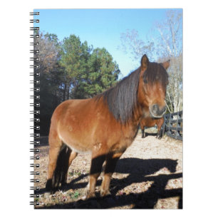 Brown pony turquoise Sky Notebook