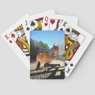 Brown pony turquoise Sky Poker Cards