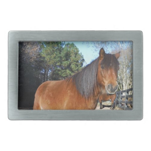 Brown pony turquoise Sky Rectangular Belt Buckle