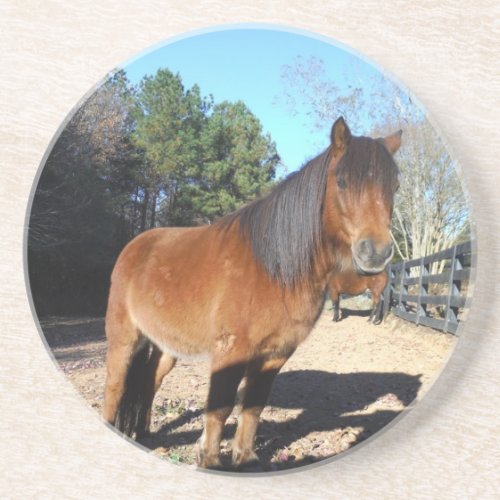 Brown pony turquoise Sky Sandstone Coaster