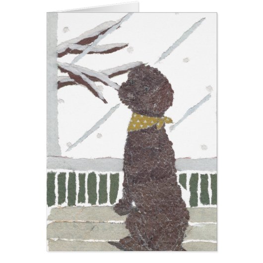 Brown Poodle, Chocolate Poodle Cards (Front)