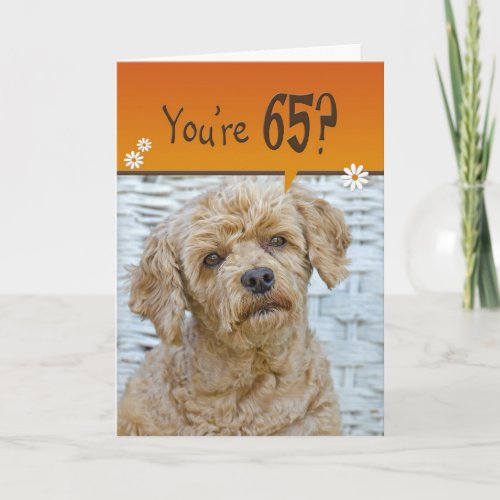 Brown Poodle for 65th Birthday Card