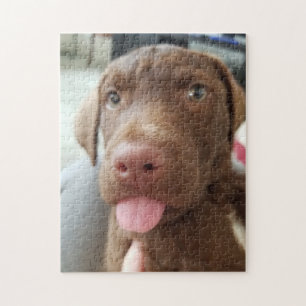 Brown Puppy Jigsaw Puzzle