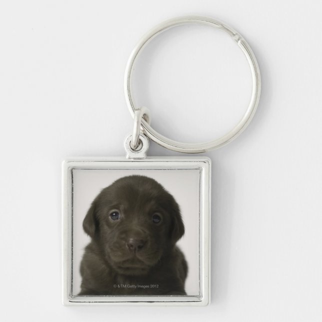 Brown puppy, portrait, close-up keychain (Front)