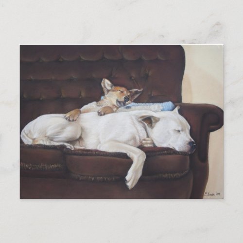 brown puppy white american bulldog realist art postcard