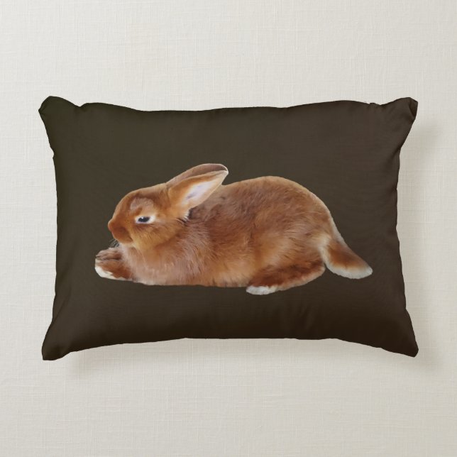 Brown Rabbit Accent Pillow (Front)