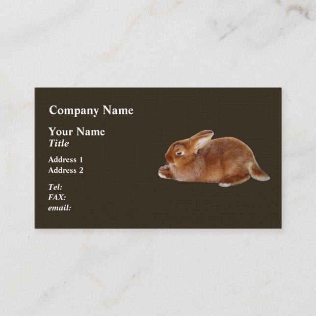 Brown Rabbit Business Card (Front)