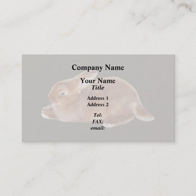 Brown Rabbit Business Card (Front)