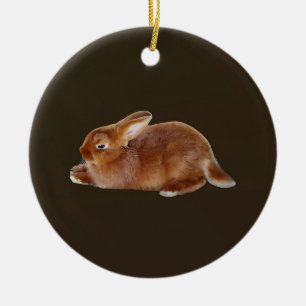 Brown Rabbit Ceramic Ornament