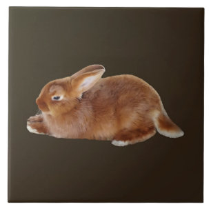 Brown Rabbit Ceramic Tile