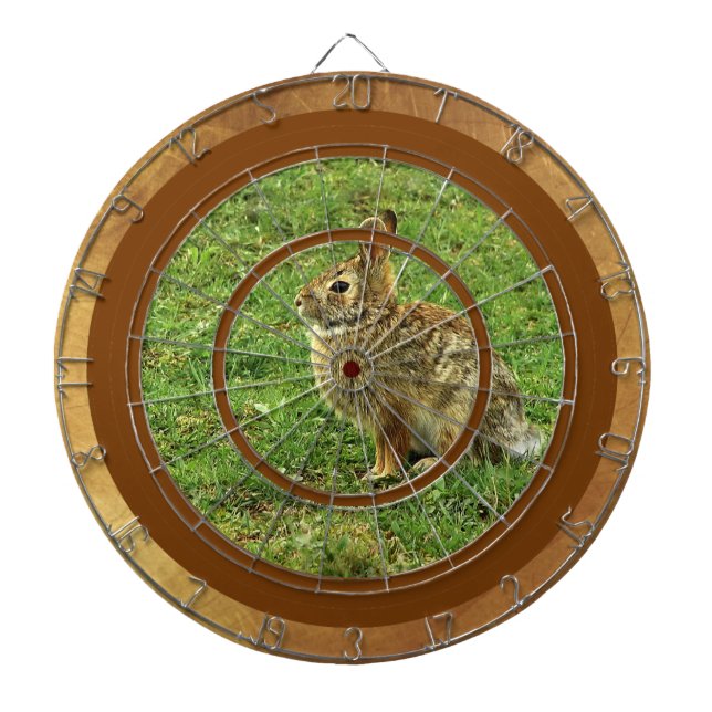 Brown Rabbit Dartboard With Darts (Front)