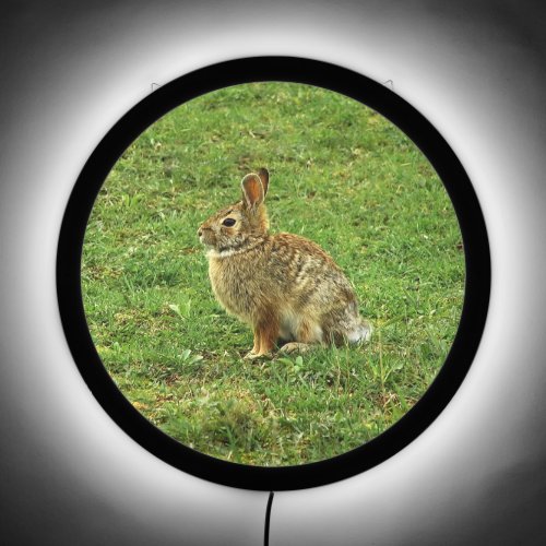 Brown Rabbit LED Sign