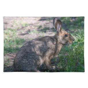 Brown Rabbit, Resting in Nature Cloth Placemat