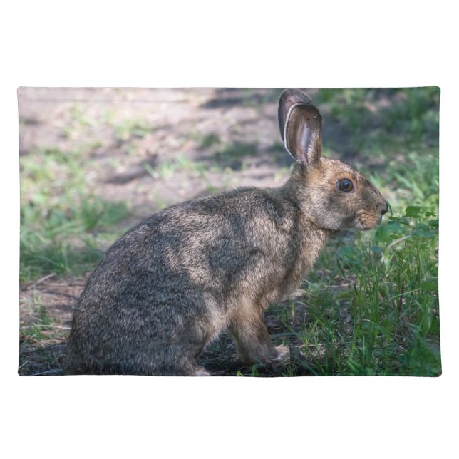 Brown Rabbit, Resting in Nature Cloth Placemat (Front)
