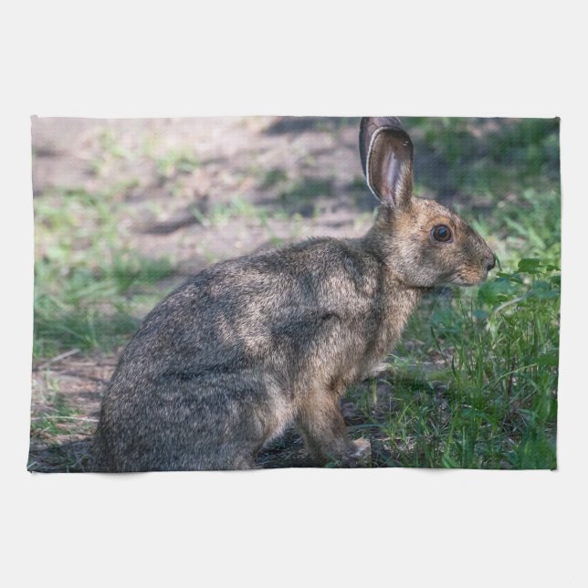 Brown Rabbit, Resting in Nature Kitchen Towel (Horizontal)