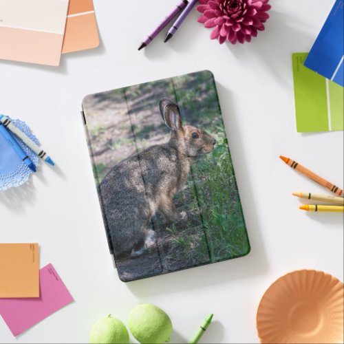 Brown Rabbit Resting in Nature Photography iPad Air Cover