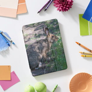 Brown Rabbit, Resting in Nature, Photography iPad Pro Cover
