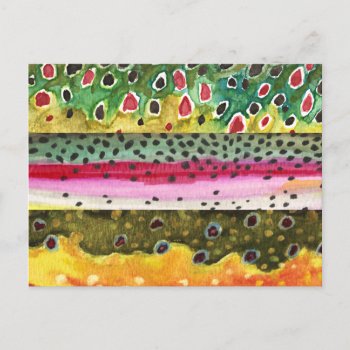 Brown  Rainbow And Brook Trout Fishing Postcard by TroutWhiskers at Zazzle