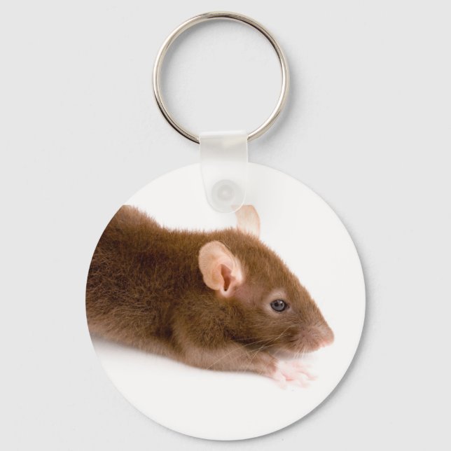 Brown Rat Keychain (Front)