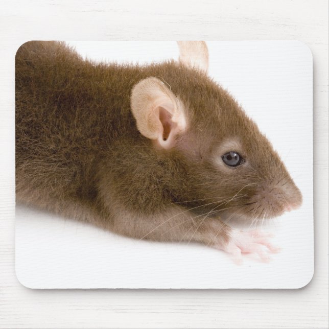 Brown Rat Mouse Pad (Front)