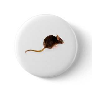 Brown Rat Pinback Button