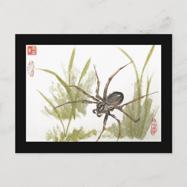 Brown Recluse Spider Postcard (Front)
