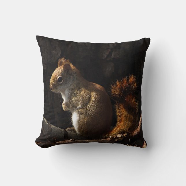 Brown Red Squirrel in Sunlight Outdoor Pillow (Front)