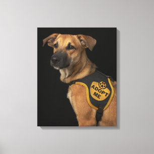 Brown rescue dog with adopt me vest canvas print