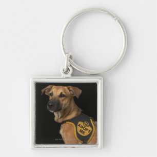Brown rescue dog with adopt me vest keychain
