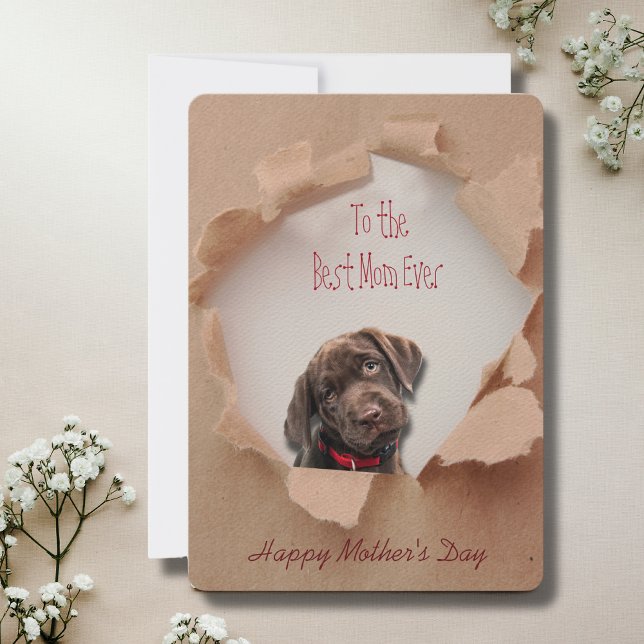 Brown Ripped Paper Dog Mom Mother's Day Card  (Mothers Day is a great time to show mom how special she is, but any day is a day to say I love you!)