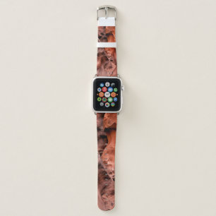 Brown rock formations apple watch band