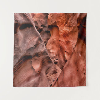 Brown rock formations tapestry
