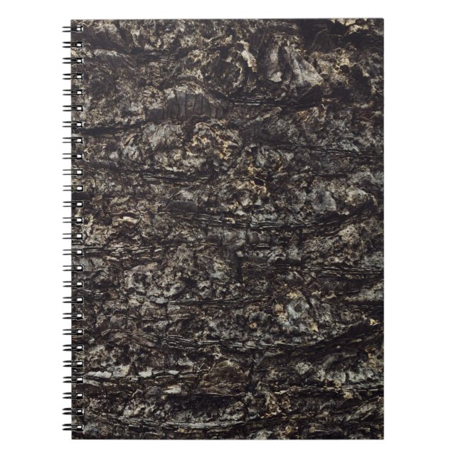 Brown rock notebook (Front)