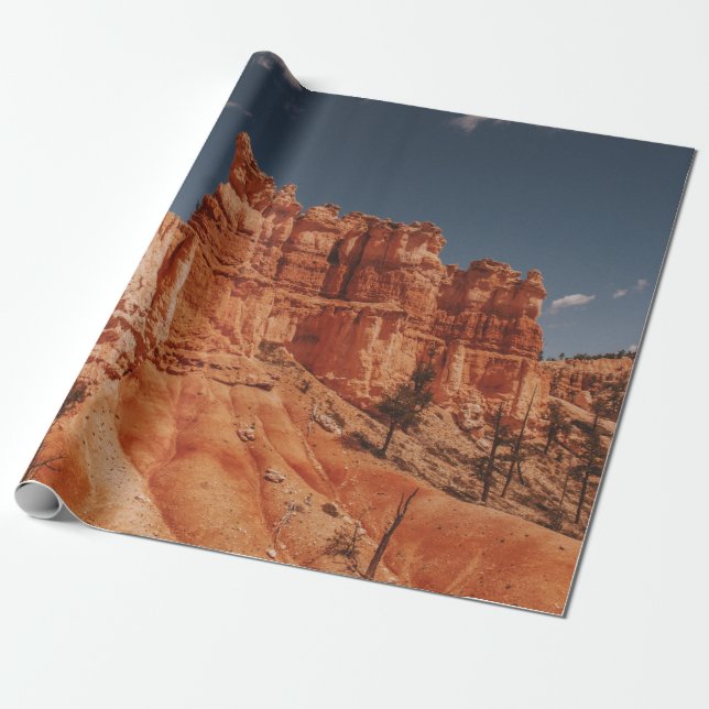 BROWN ROCKS WRAPPING PAPER (Unrolled)