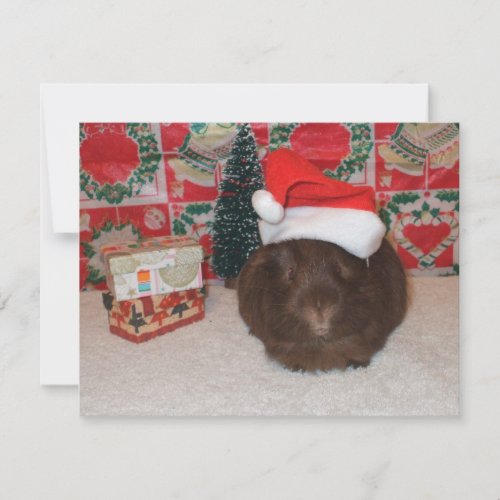 Brown Santa Pig Holiday Card